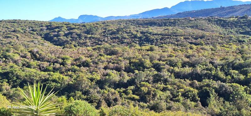 0 Bedroom Property for Sale in Groot Brakrivier Central Western Cape